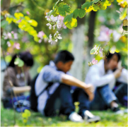 ����ҽ��������˳ɣ����ʽ�방