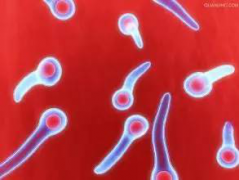 ѿ�������ǡ�������Сǿ��