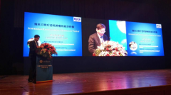 ţ��־�����׵������������������