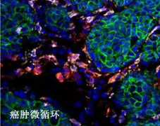 ʵ���й�ʽ������|����΢���������ð�ϸ������