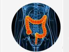 ���ּ������Ŵ����С������ۺ��������������߶�Ӧ����ɸ��