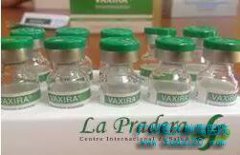 ��һ���ΰ������÷ΰ��𽥳�Ϊ���Բ�