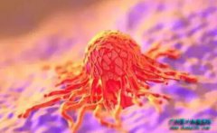 �������������Щ��Ⱥ��