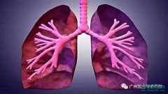 ר�ҽ������ڷΰ��ðе㵼��ҩ�����ƹ�����