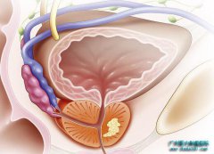 ǰ�����׻ᷢչ��ǰ���ٰ���