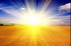 ��֢ʮ���Ϊʲô | �ʶ�ɹ̫���ɷ�����������ɹ��ô��